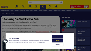 Beano - Black Panther Insights