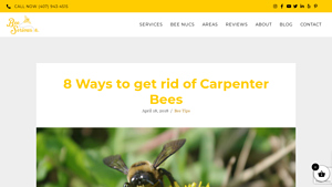 Bee Serious FL - Bee and Wildlife Removal Services