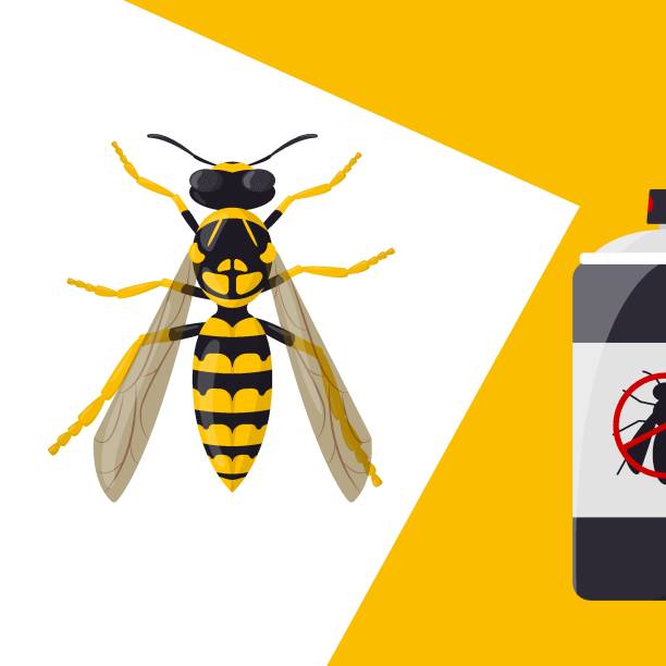 Illustrative image for best bee and wasp repellents