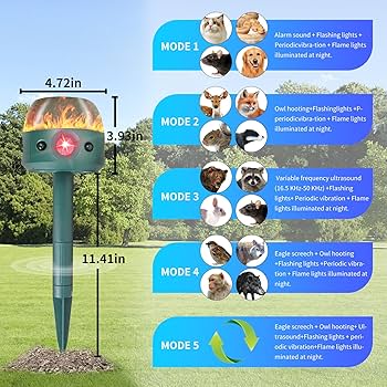 Illustrative image for best outdoor ultrasonic squirrel repeller