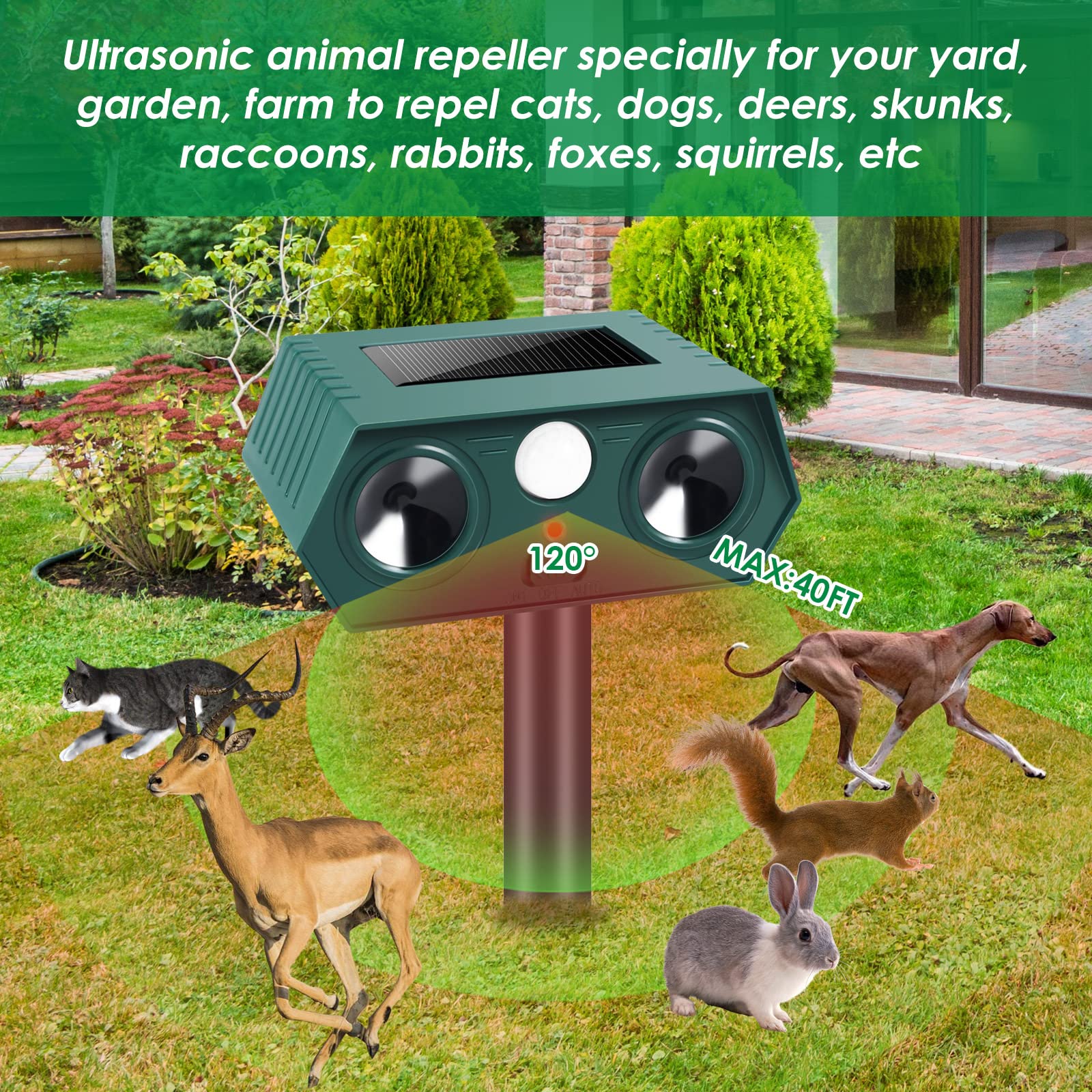 Illustrative image for best outdoor ultrasonic squirrel repeller