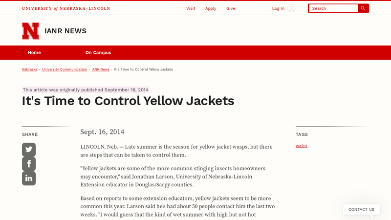 It's Time to Control Yellow Jackets | IANR News