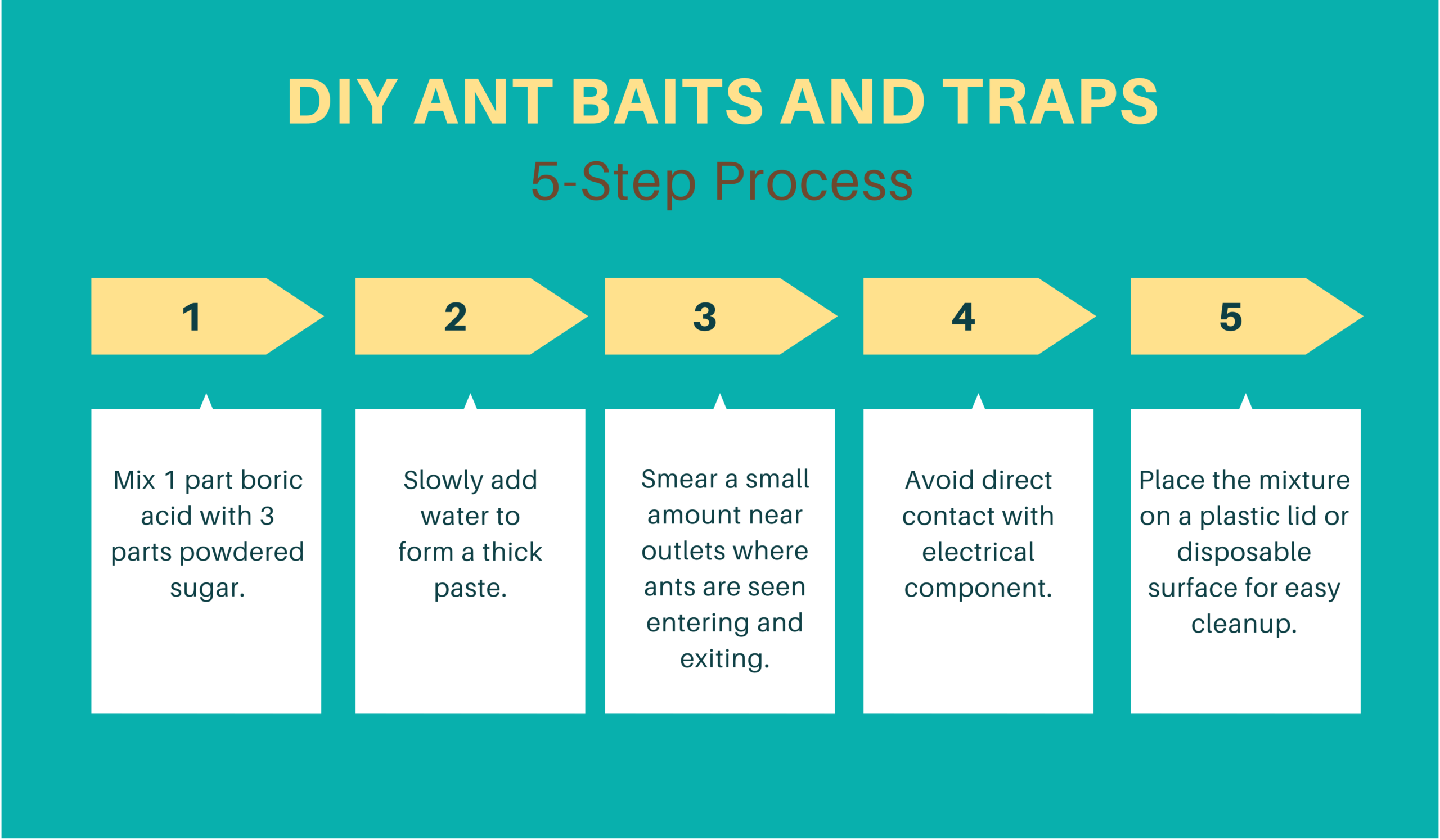 Illustrative image for best way to deal with sugar ants