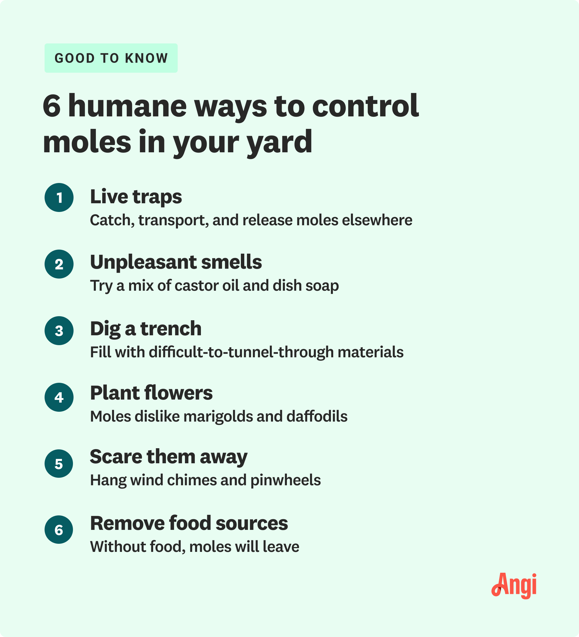 Illustrative image for best way to exterminate moles