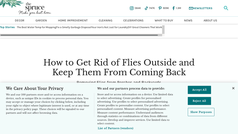 How to Get Rid of Flies Outside and Keep Them From Coming Back