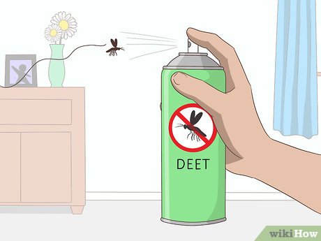 Illustrative image for best way to get rid of no see ums