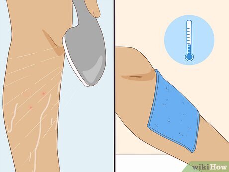 Illustrative image for best way to get rid of no see ums