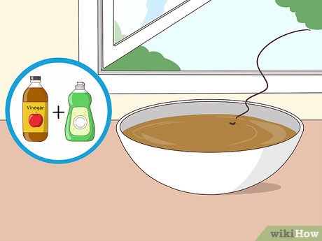 Illustrative image for best way to get rid of noseeums