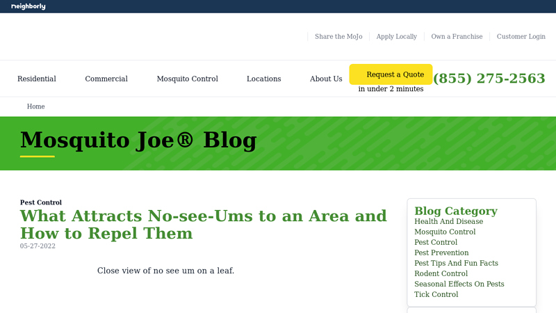 What Attracts No-see-Ums to an Area and How to Repel Them