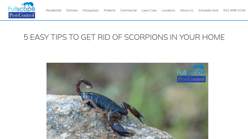 5 Easy Tips To Get Rid Of Scorpions In Your Home