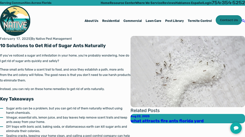 10 Solutions to Get Rid of Sugar Ants Naturally