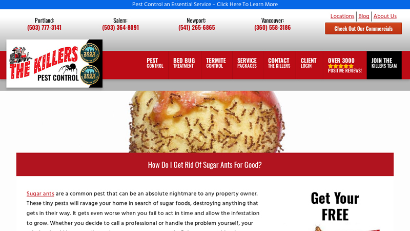 How Do I Get Rid Of Sugar Ants For Good? - The Killers Pest Control