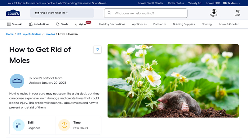 How to Get Rid of Moles - Lowe's