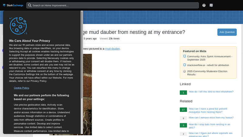 How can I discourage mud dauber from nesting at my entrance?