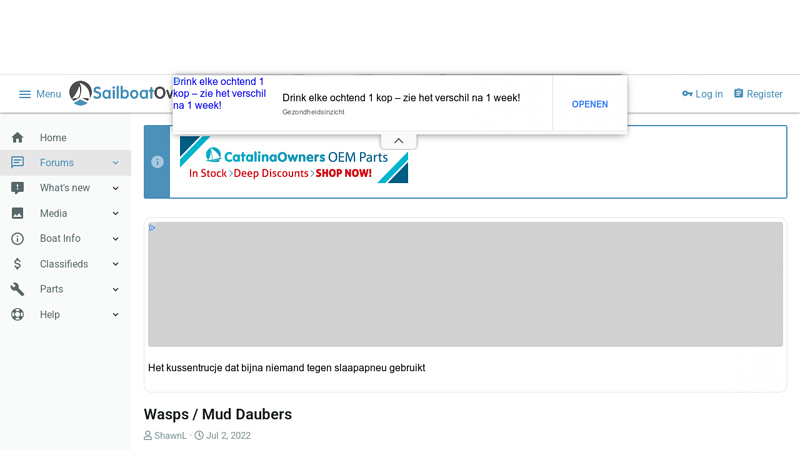 Wasps / Mud Daubers | Sailboat Owners Forums