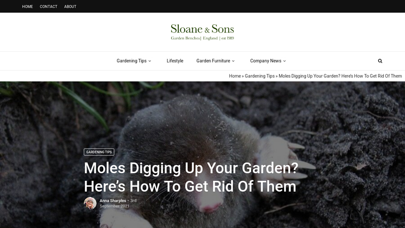 Moles Digging Up Your Garden? Here's How To Get Rid Of Them