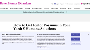 BHG - Pest Control Tips