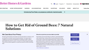BHG - Natural Ground Bee Solutions