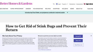 BHG - Effective Stink Bug Solutions