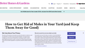 BHG - Mole Control Solutions