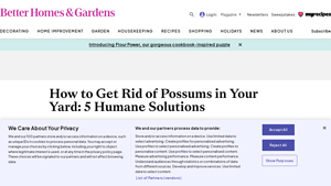 BHG - Pest Control Solutions