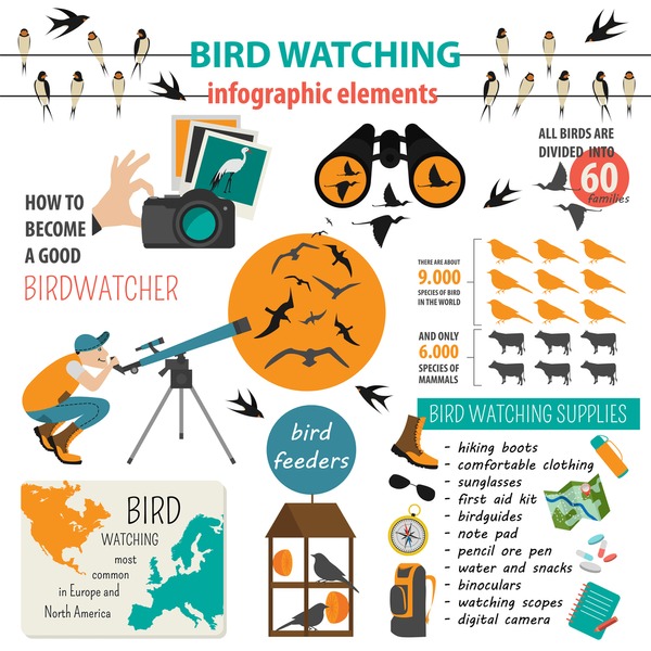 Illustrative image for Bird Chaser