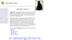 Black Panther Animal - Melanistic Cats