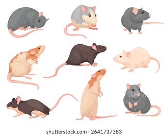 Illustrative image for bleach and rats