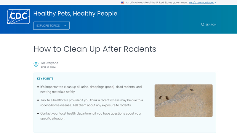 How to Clean Up After Rodents | Healthy Pets, Healthy People | CDC