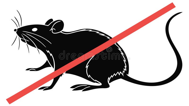 Illustrative image for bleach rats