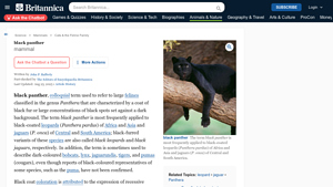 Britannica - Black Panther Facts