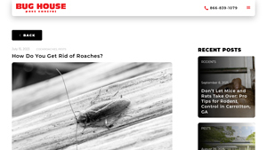 Bughouse Pest Control - Effective Roach Solutions