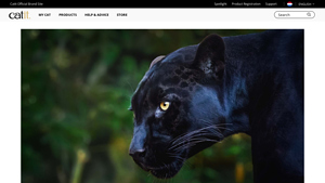 Catit - Black Panther Insights