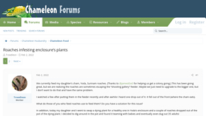 Chameleon Forums - Diatomaceous Earth & Roach Feeders