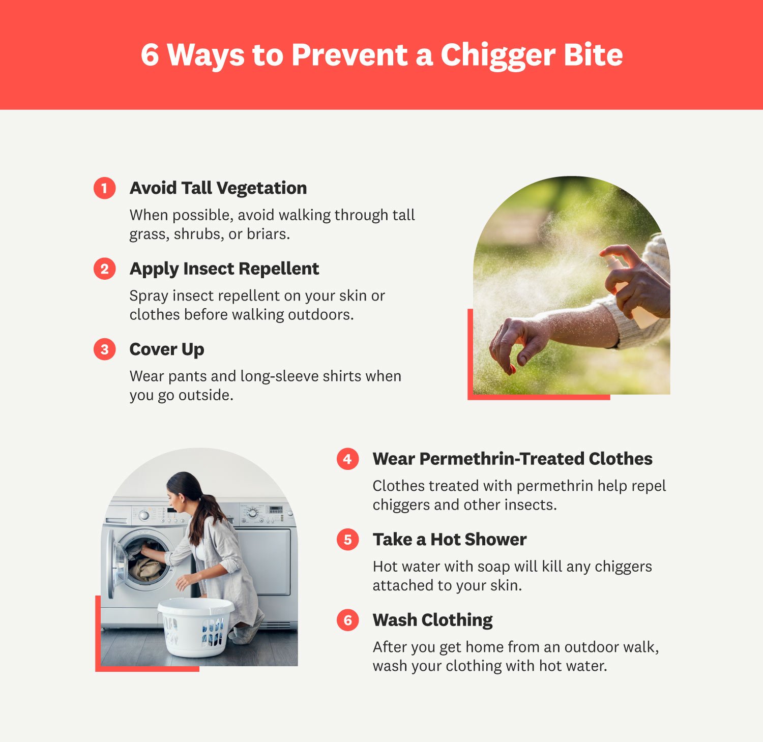 Illustrative image for chigger spray for furniture