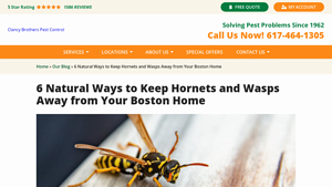 Clancy Brothers - Wasp and Hornet Extermination