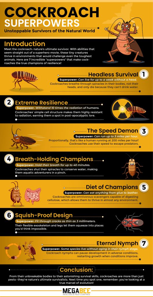 Illustrative image for cockroach sonic repeller