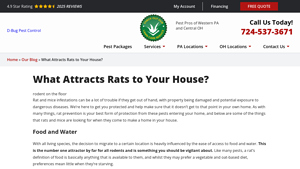 D-Bug Pest Control - Comprehensive Pest Management Solutions