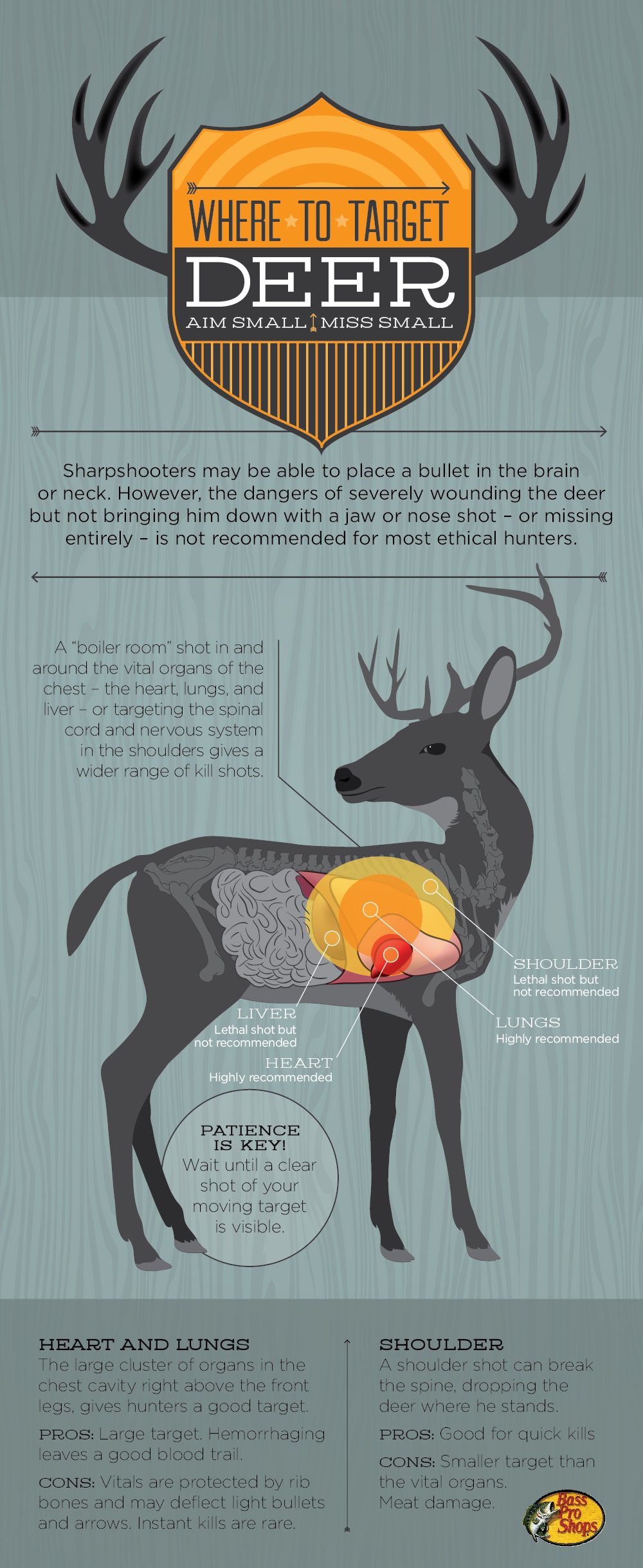 Illustrative image for deer chaser