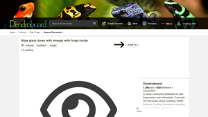 Dendroboard - Cleaning Solutions for Frog Habitats