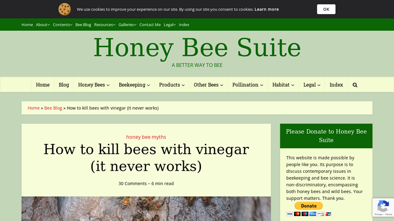 How to kill bees with vinegar (it never works) - Honey Bee Suite