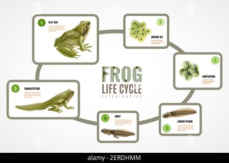 Illustrative image for deters frogs