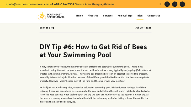 DIY Tip #6: How to Get Rid of Bees at Your Swimming Pool