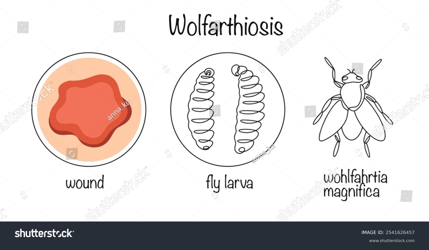 Illustrative image for diatomaceous earth maggots
