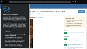 EcoSmart - Wasp & Hornet Killer