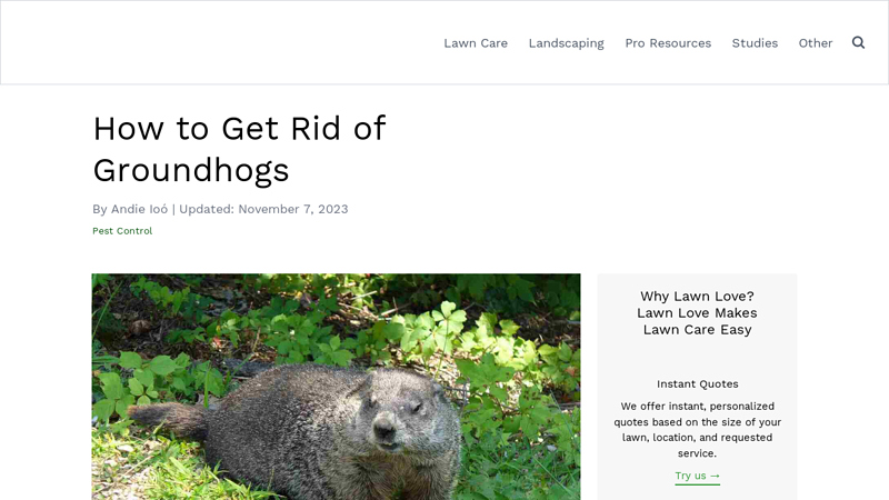 How to Get Rid of Groundhogs - Lawn Love