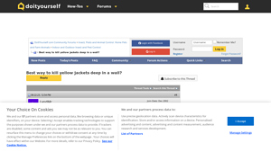 Do It Yourself - Foaming Yellow Jacket/Carpenter Bee Spray