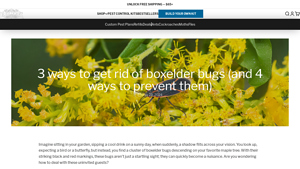 Dr. Killigan's - Six Feet Under Insect Spray