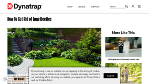 Dynatrap - Outdoor Insect Traps