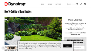 Dynatrap - Outdoor Insect Traps